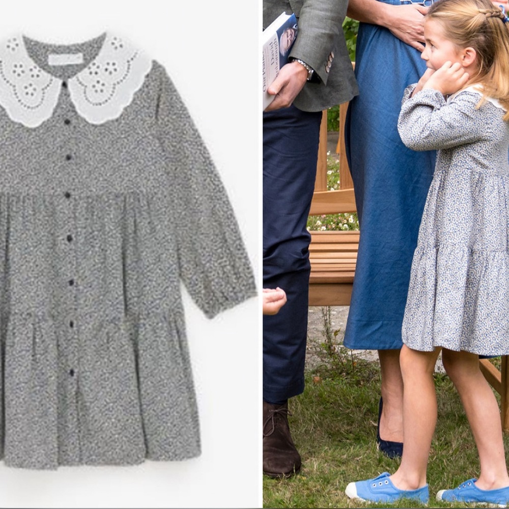 Zara Gray Buttoned Sundress with White Peter Pan Collar